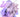 Lilac, violet, purple...All equally captivating and romantic shades,