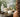 10 Best Curl Creams for Humid Weather