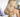 Blonde Toner Maintenance Guide That Works