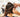 The Science Behind How Shampoo and Conditioner Work