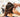 Unlocking the Secrets to a Perfect Hair Care Routine