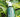 The Transformative Power of Natural Ingredients in Hair Care