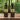 Argan De luxe Moroccan Professional Nourishing Shampoo, Conditioner Duo - On Line Hair Depot