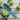 Duboa Brush Aqua/Green 155mm Long 80 Soft Large Hair brush Designed for Thick Hair in Aqua - On Line Hair Depot