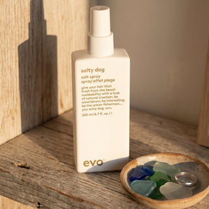 Evo Salty Dog Cocktail Beach Spray — a sea-infused mist that delivers that effortless, just-stepped-off-the-sand texture without a grain of actual sand in sight.