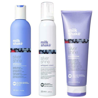 Introducing Milk Shake Silver Shine Hair Care for Blondes at Itz All About Hair