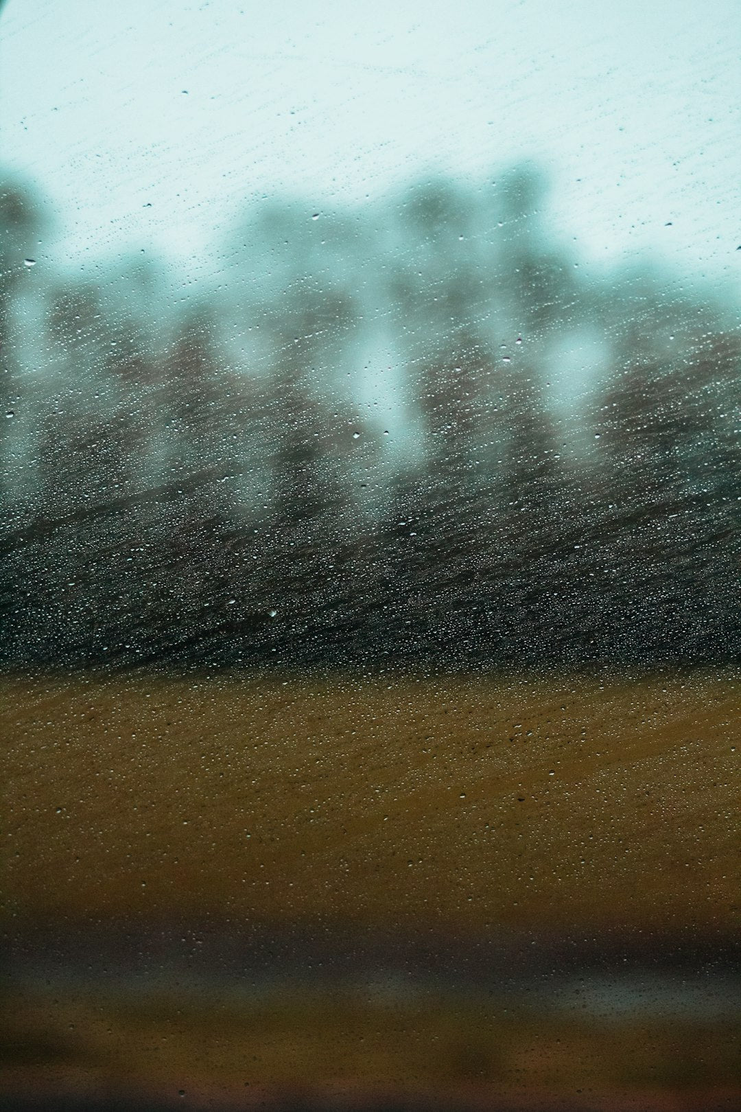 How Weather Affects Your Choice of Shampoo and Conditioner