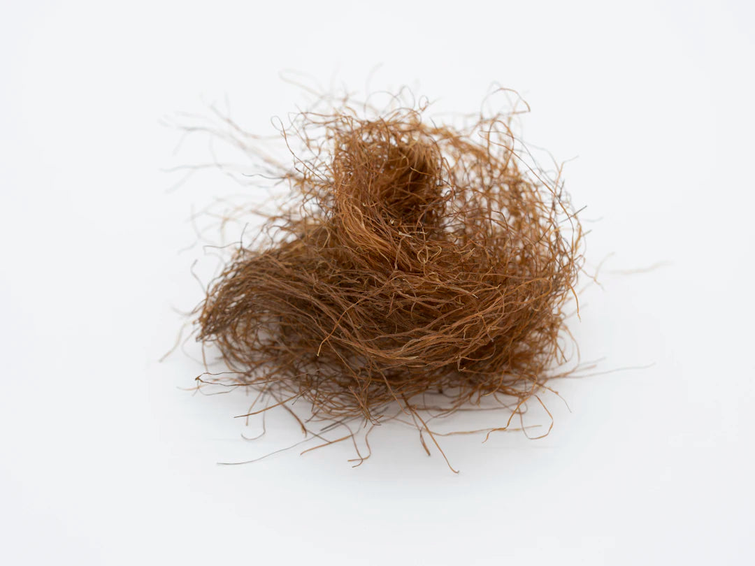 Stress and Hair Loss Understanding the Connection