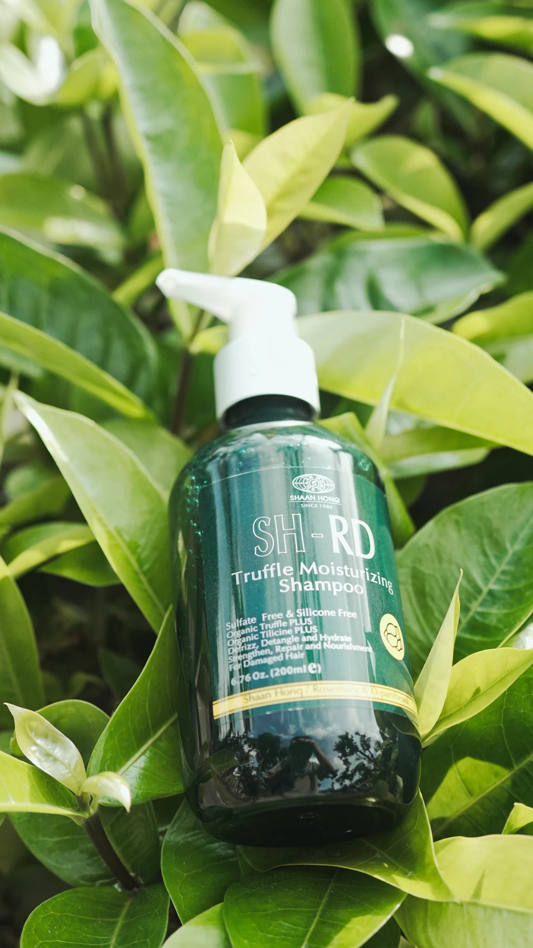 The Transformative Power of Natural Ingredients in Hair Care