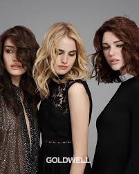 Goldwell Dual Senses