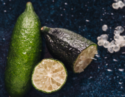 RPR Professional Repair My Bonds Shampoo and Conditioner