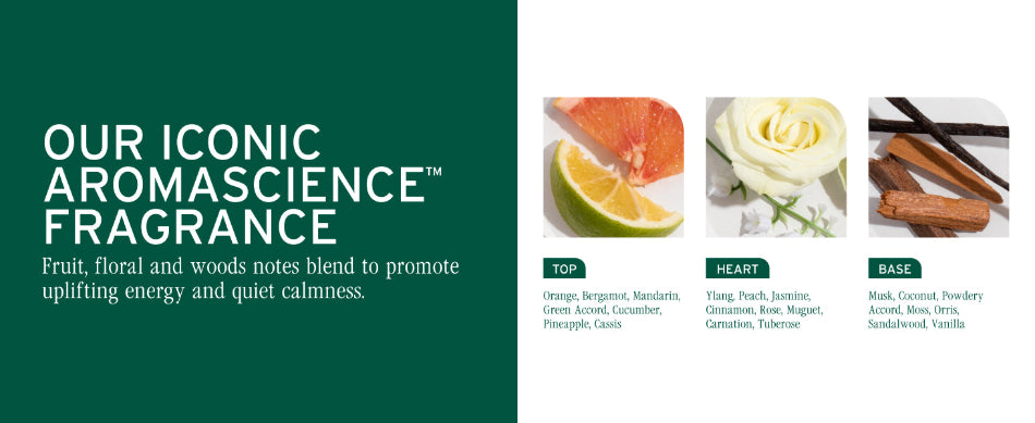 Biolage Strength Recovery Shampoo 400ml - On Line Hair Depot