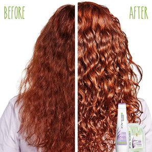 Biolage Hydrasource Shampoo and Detangling Solution 1lt Duo - On Line Hair Depot