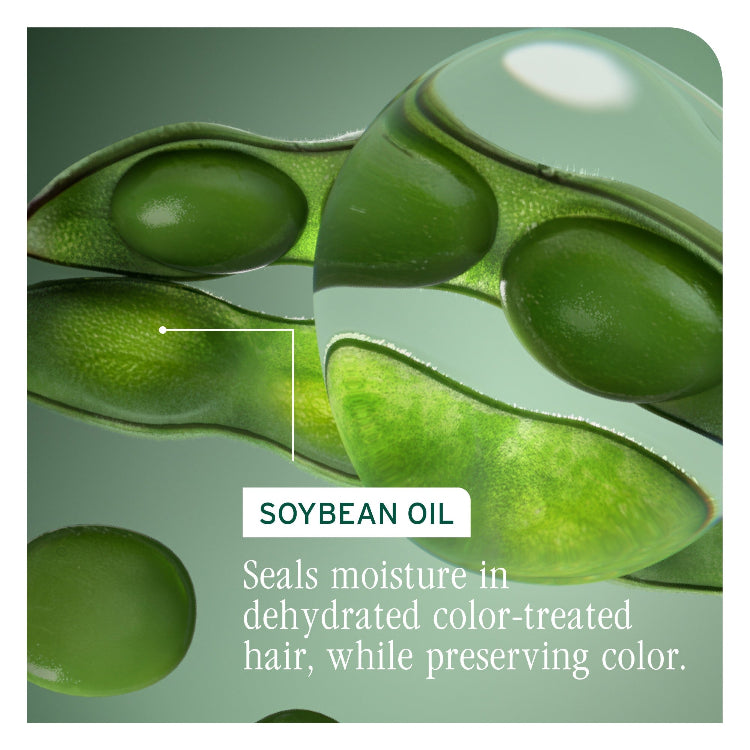 Biolage Color Last Purple Shampoo - On Line Hair Depot