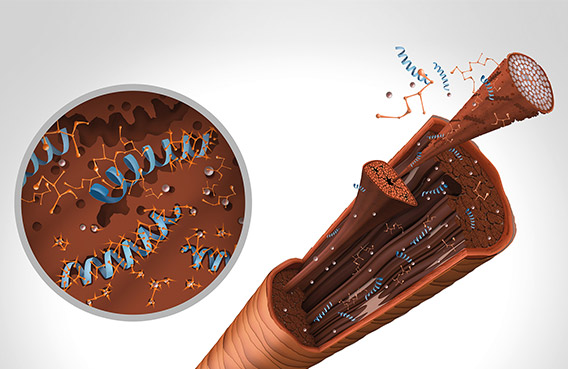 GOLDWELL Bond Pro Fortifying Shampoo & Conditioner Duo 1000ml Each - On Line Hair Depot