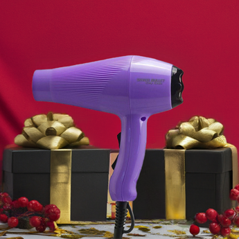 Silver Bullet City Chic Hair Dryer for Christmas