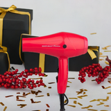 Silver Bullet Obsidian Hair Dryer for Christmas