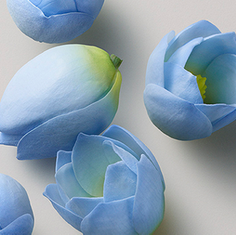 Kerasilk Volumizing Shampoo Bodified Full - On Line Hair Depot