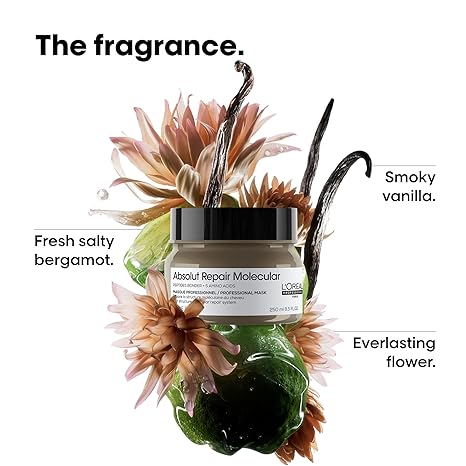 Loreal Absolut Repair Molecular Masque/Mask - On Line Hair Depot