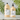 Loreal Absolut Repair Shampoo and Conditioner Duo - On Line Hair Depot