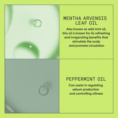 Nioxin System 2 Shampoo and Conditioner Duo 1000ml of Each for Natural Hair with Progressed Thinning - On Line Hair Depot