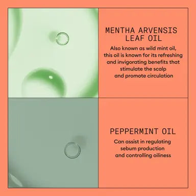 Nioxin System 4 Large Kit  for colored hair with progressed thinning - On Line Hair Depot