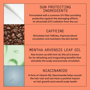 Nioxin System 4 Large Kit  for colored hair with progressed thinning - On Line Hair Depot