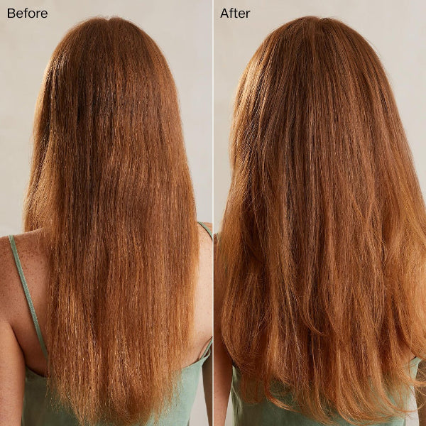 Paul Mitchell Tea Tree Lemon Sage Thickening Shampoo, Conditioner  1lt Duo - On Line Hair Depot