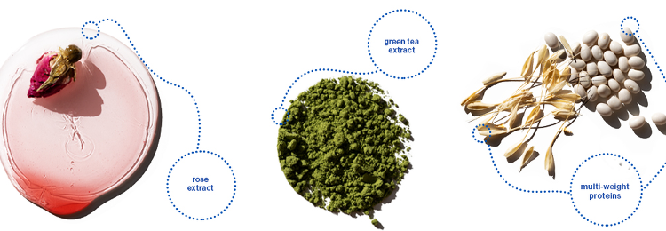 Pureology Hydrate 250ml Duo hydrates normal to thick dry, color-treated hair. - On Line Hair Depot