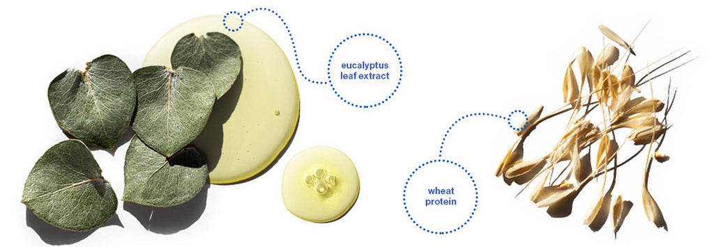 Pureology Hydrate Sheer Conditioner nourishes fine dry, color-treated hair - On Line Hair Depot