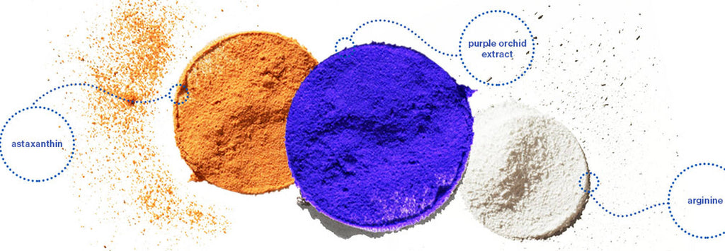 Pureology Strength Cure Blonde Shampoo 1lt purple tones Blonde & strengthens - On Line Hair Depot