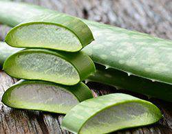 RPR Brighten My Blonde Shampoo 300ml Purple Toning Blonde Grey & Highlights - On Line Hair Depot