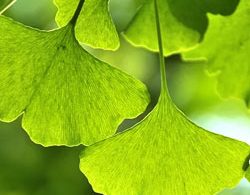 RPR De-Chlorinate My Hair and  RPR My Vitaliser Duo Deep Cleansing and Moisturising - On Line Hair Depot