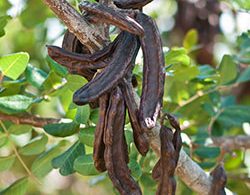 RPR Extend My Colour Duo pack 300ml each for Hydration, Shine & Vibrant Lasting Colour - On Line Hair Depot