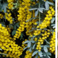 RPR Professionals Make Me Curly Shampoo, Conditioner & Styling Cream Trio - On Line Hair Depot