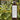 Saryna Key Curl Control Shea Leave-In Moisturizer 300ml - On Line Hair Depot