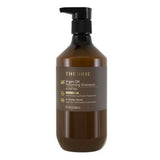 Theorie Argan Oil Reforming Hair Shampoo and Conditioner 400 ml Duo Theorie Hair Care - On Line Hair Depot