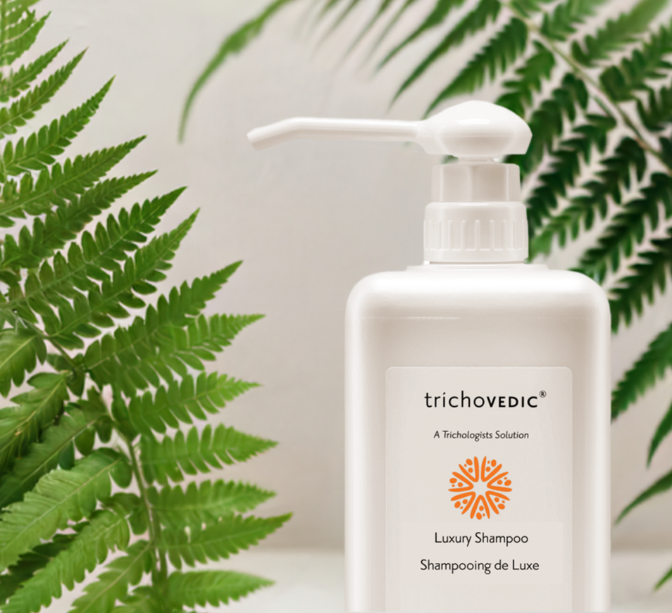 Trichovedic Luxury Shampoo - On Line Hair Depot