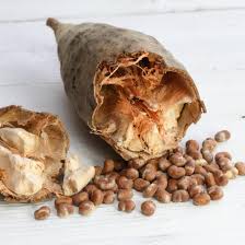 Vitafive CPR Frizzy Shampoo Conditioner Phase 1 Trio Pack - On Line Hair Depot