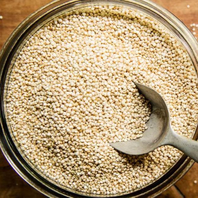 Vitafive CPR Frizzy Shampoo Conditioner Phase 1 Trio Pack - On Line Hair Depot