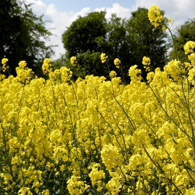 Vitafive CPR Frizzy Shampoo Conditioner Phase 1 Trio Pack - On Line Hair Depot